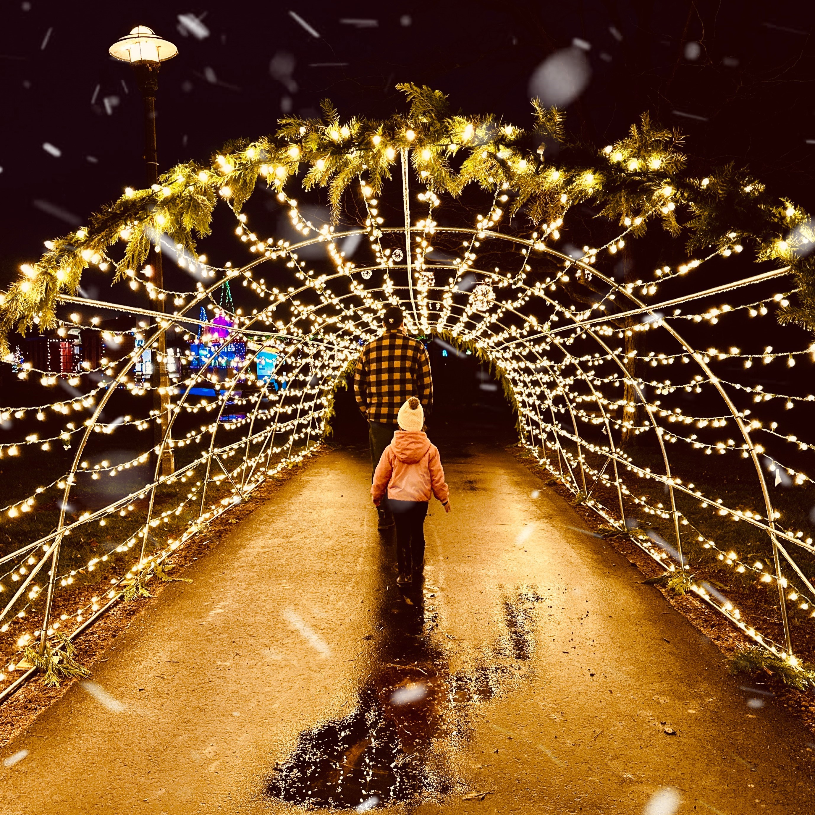 A child walks through the light tunnel at the Let It Glow - A Celebration of Light in Rennie Park.